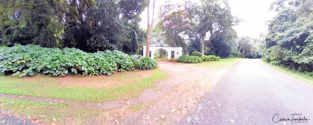 Una carretera pavimentada que conduce a un arco blanco rodeado de abundante vegetación.