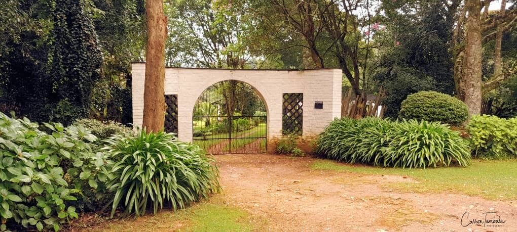 A brick archway with a metal gate, surrounded by lush greenery and trees.