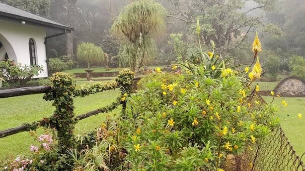 Ein Garten mit verschiedenen Pflanzen und Blumen, einem Holzzaun und einem Gebäude im Hintergrund mit weißer Fassade und Bögen.
