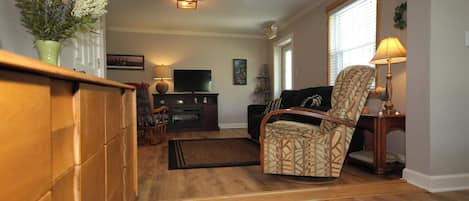 TV, fireplace, books