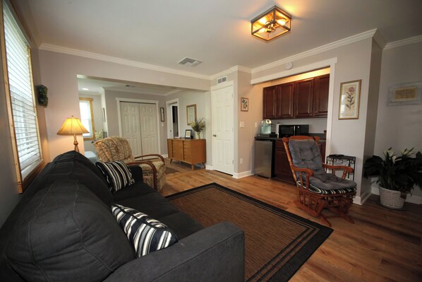 TV, fireplace, books