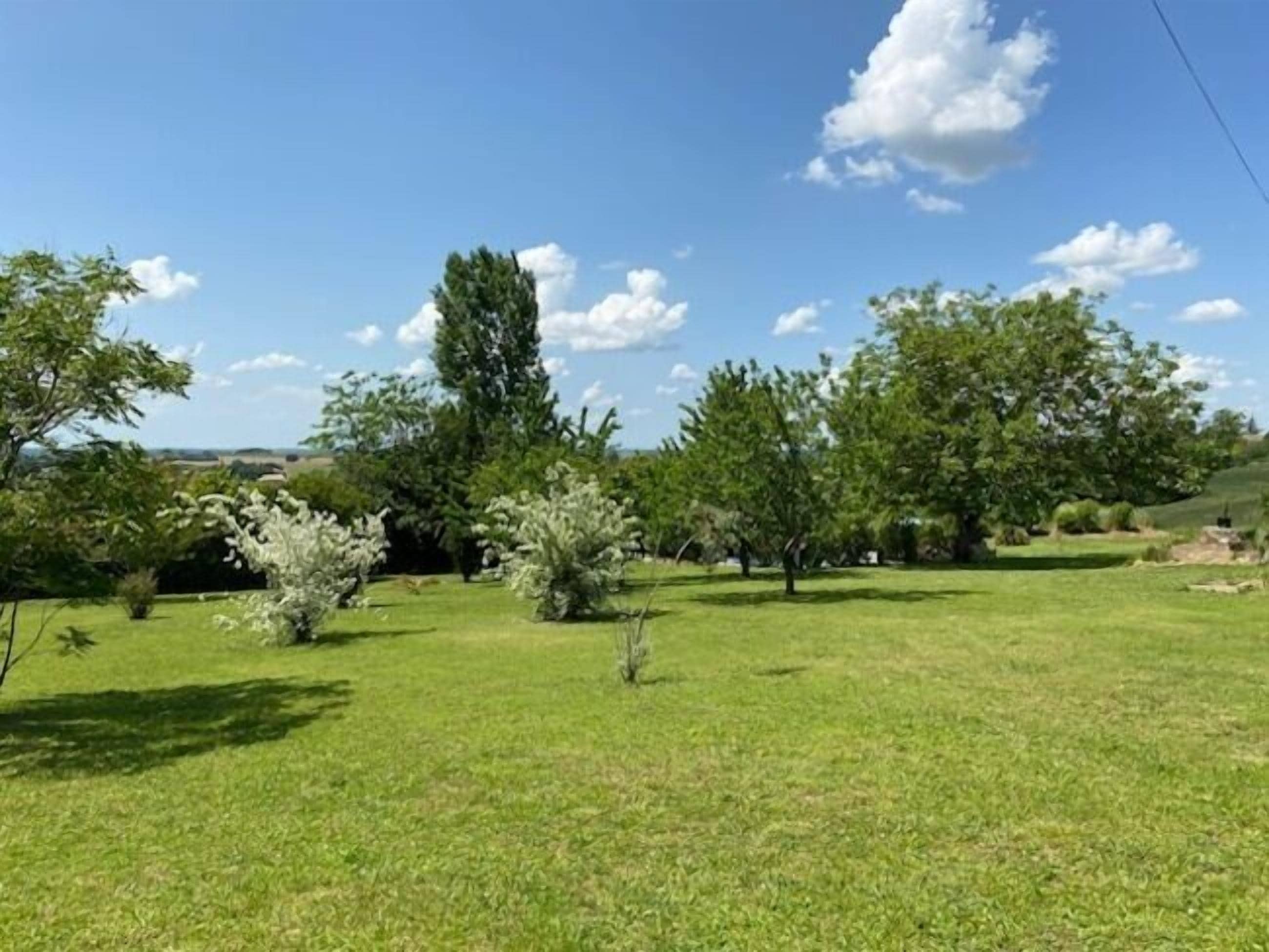 Un champ verdoyant, parsemé d’arbres, sous un ciel dégagé.