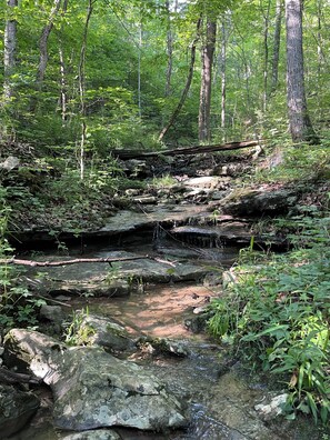 Property grounds - Hidden forest campground in South Pittsburg (South Pittsburg)