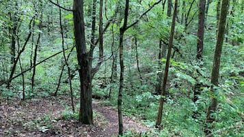 Miscellaneous