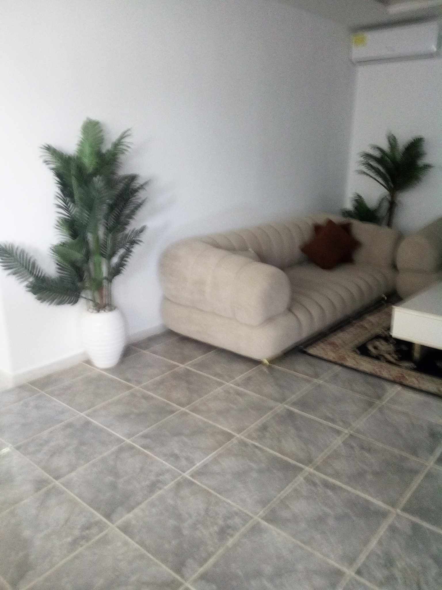 Ein Wohnzimmer mit einem beigefarbenen Sofa, einem weißen Couchtisch und zwei Topfpflanzen.