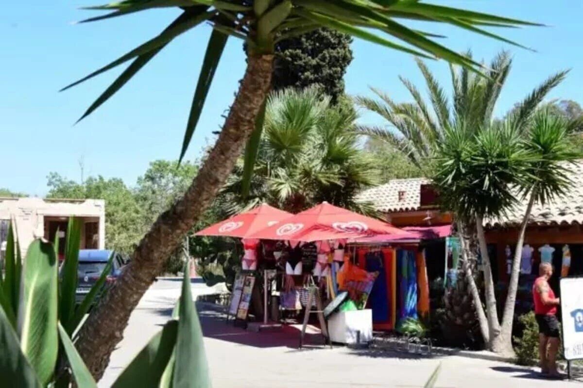 A street scene with palm trees, a red umbrella, and a small shop.