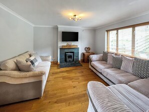 TV, fireplace