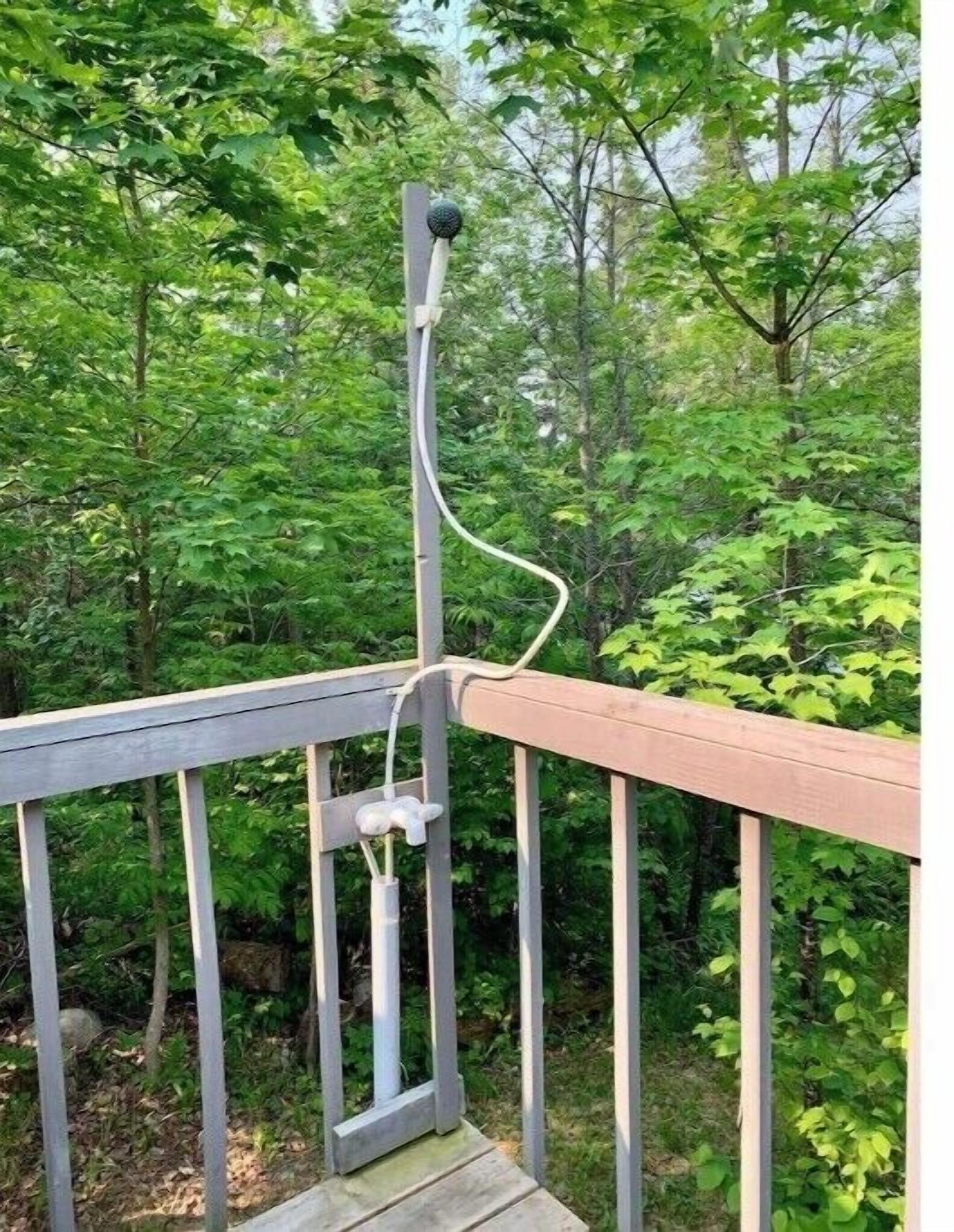 A wooden deck with a metal railing, surrounded by dense green foliage.