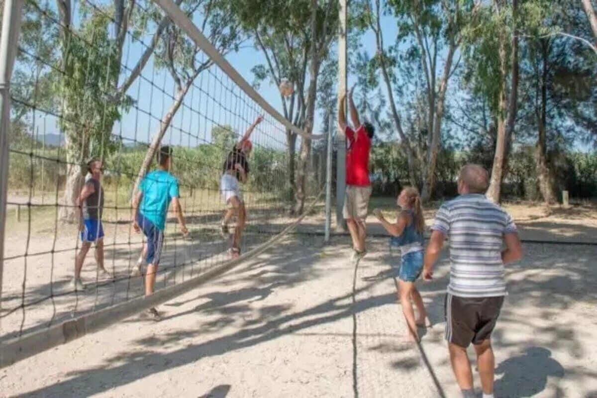A group of people playing volleyball on a sandy court with trees in the background.