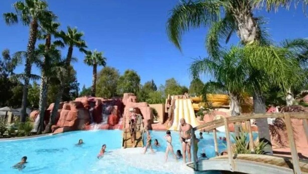 A swimming pool with palm trees and a water slide.
