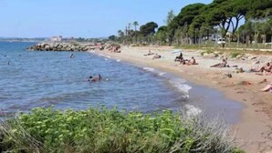 A beach with people swimming and relaxing on the sand, trees, and a rocky breakwater.