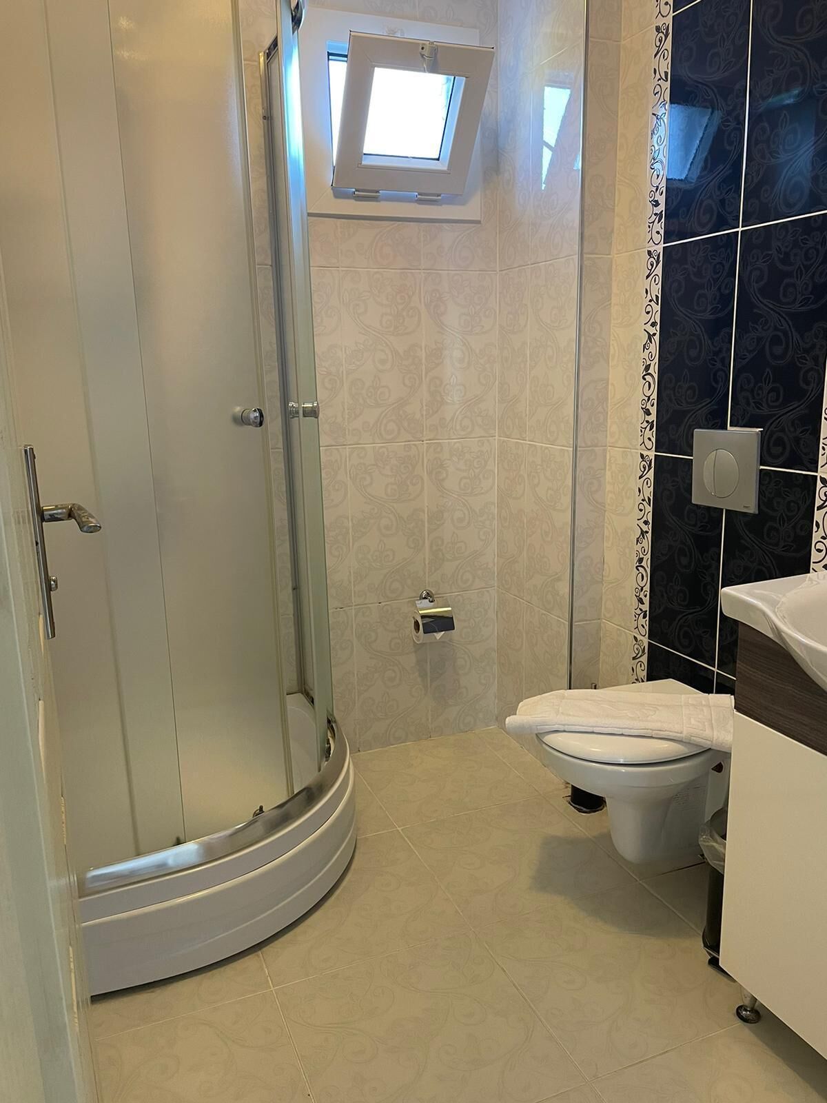 A bathroom with a glass-enclosed shower, a toilet, and a small skylight.