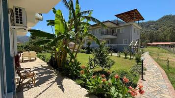 A residential property with a patio, outdoor seating, a garden with tropical plants, and a view of a hilly landscape.