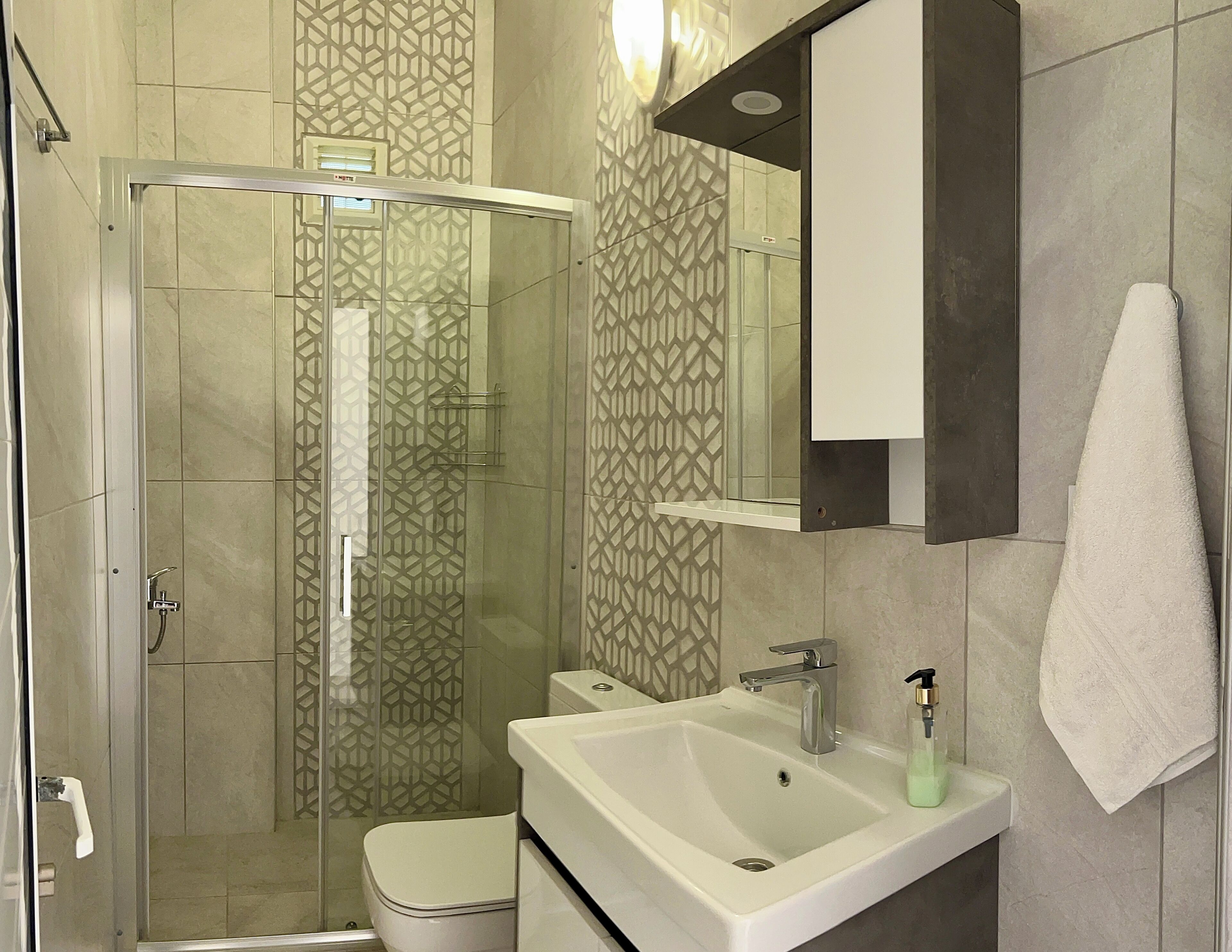 A modern bathroom with a glass shower enclosure, a white sink, and a toilet.
