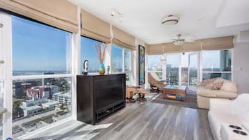 Smart TV, DVD player, books, computer monitors