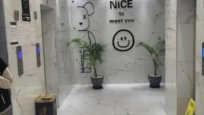 A modern lobby with marble floors, a central wall with a bear illustration and the text "NICE to meet you", two potted plants, and a yellow sign. - Skyview loft retreat Apartment, Smarthome Yaya (Nairobi)