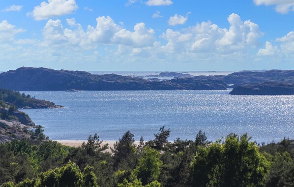 صيد الأسماك