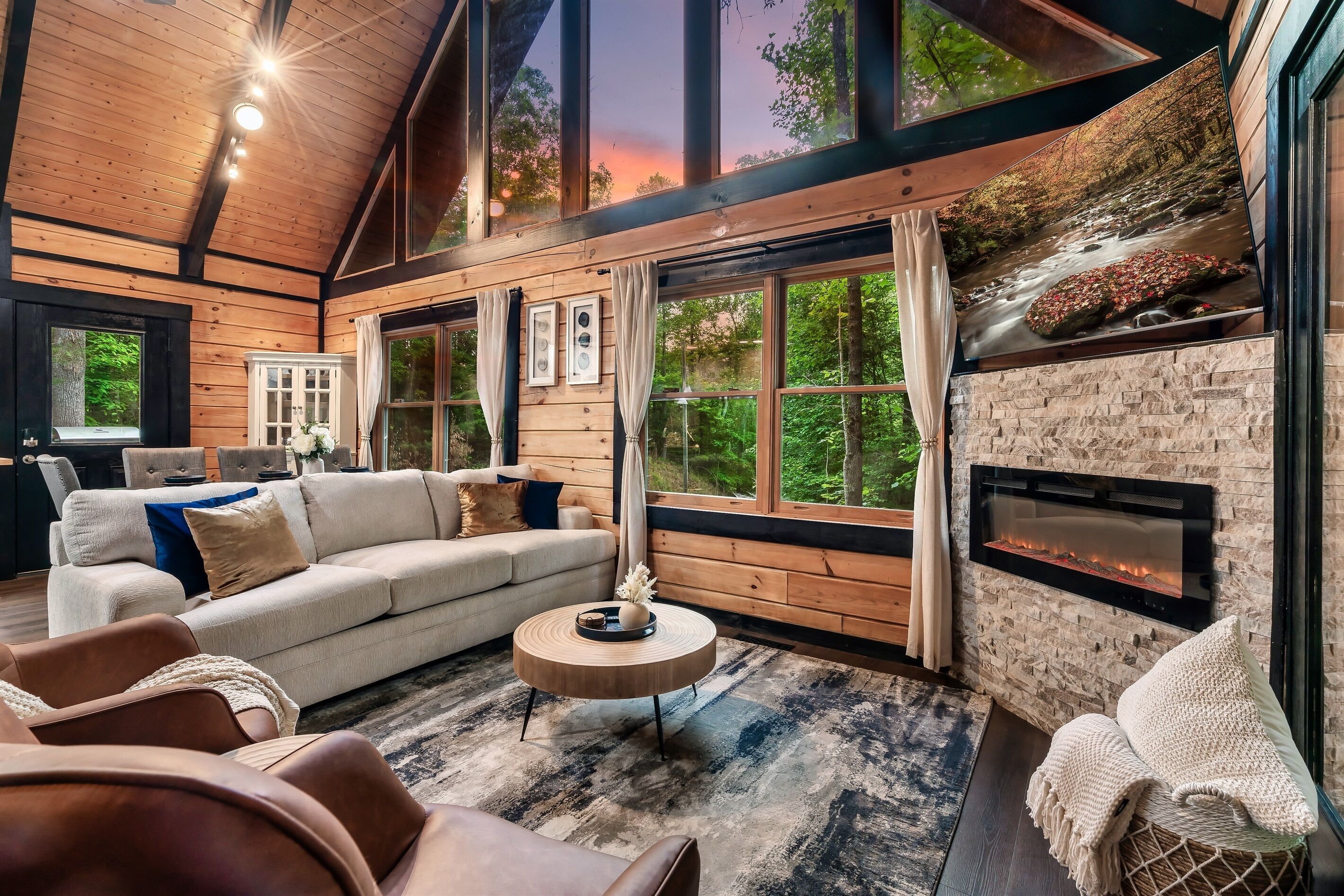 Téléviseur connecté, foyer, livres