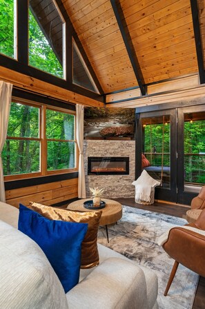 Smart TV, chimenea y libros