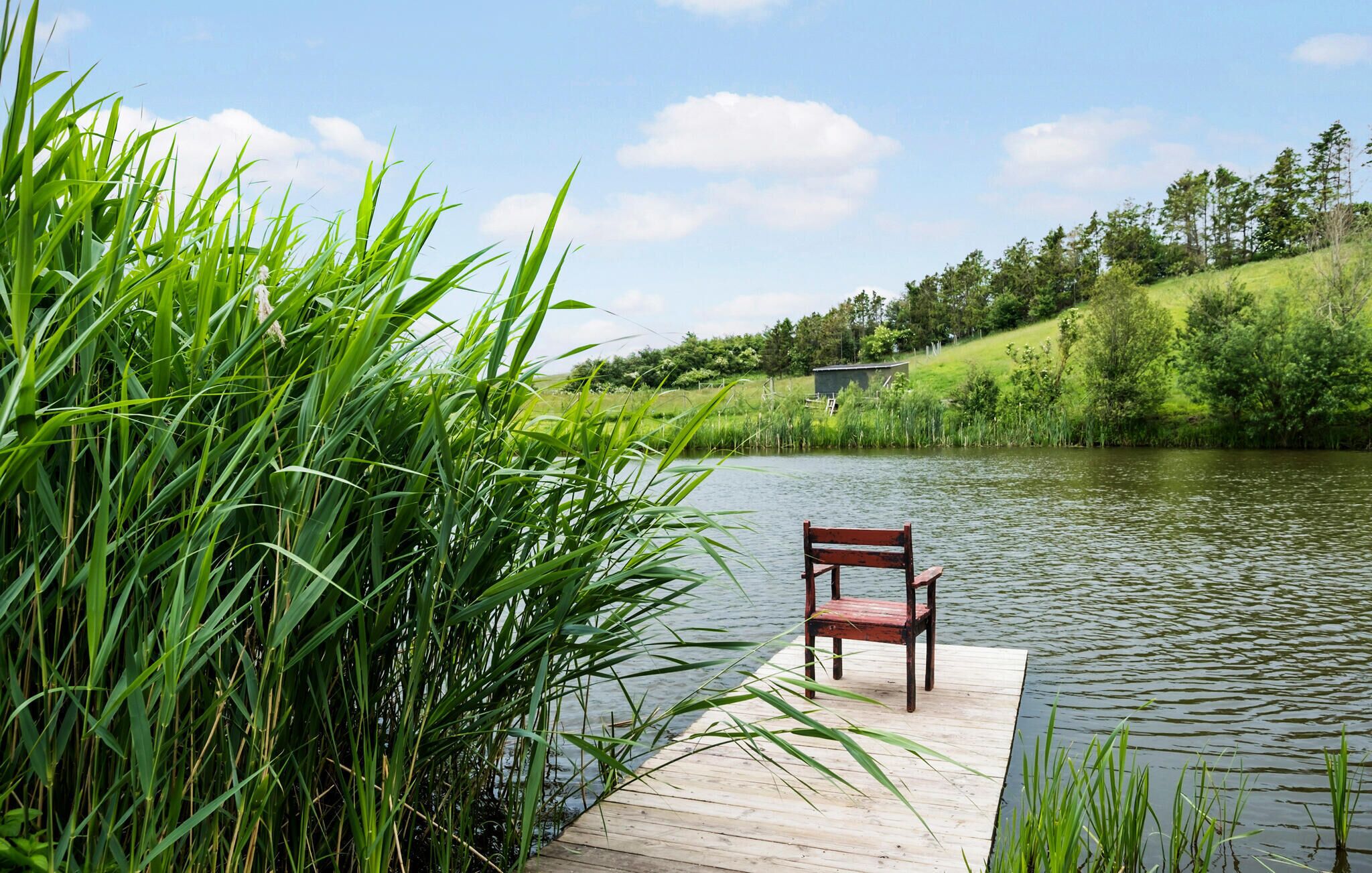 A wooden dock extending into a calm lake, surrounded by lush greenery and a clear sky.
