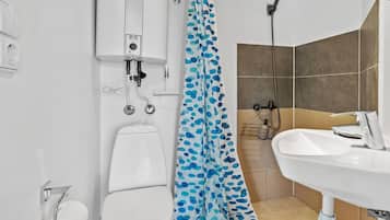 Shower, hair dryer