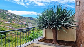 A balcony with a potted agave plant, a metal railing, and a view of a hillside with houses. - Capelas House by LovelyStay (Campanario)