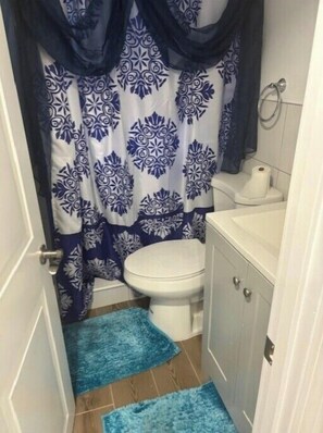 SĂšche-cheveux, serviettes fournies, savon, papier toilette