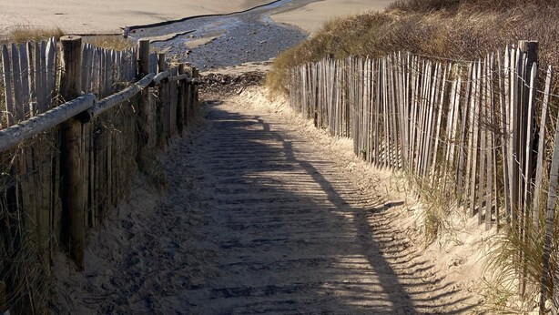 Camí de sorra que condueix a l'oceà, delimitat per unes tàules de fusta.