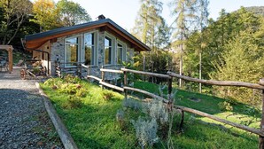 Uklassifisert bilde, 3 av 32, knapp