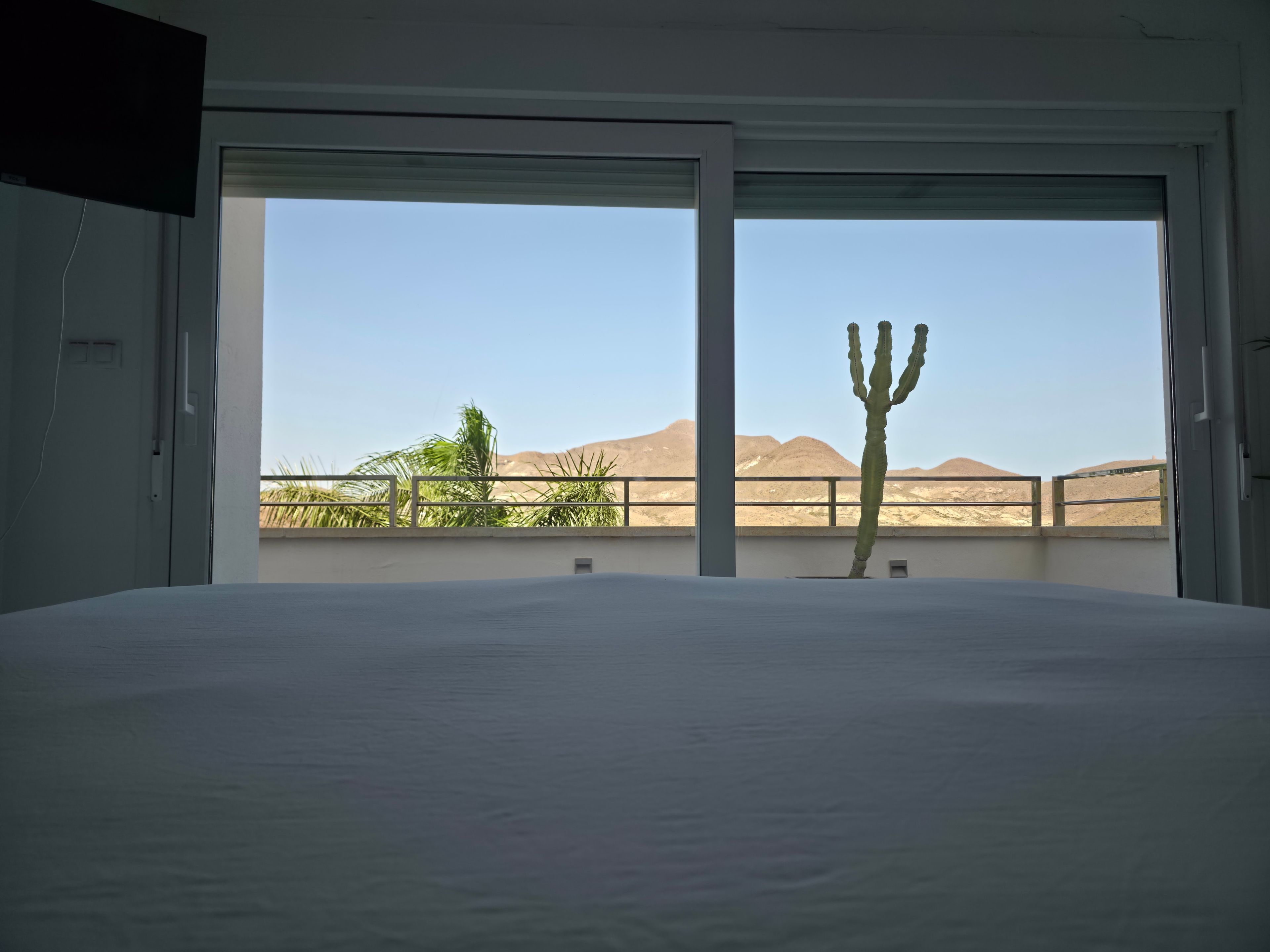 A room with a large bed, a window with a view of a desert landscape, and a cactus outside.