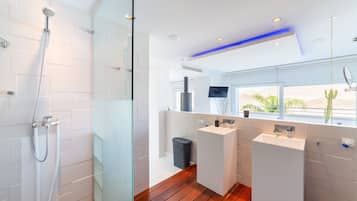Shower, hair dryer, towels