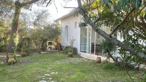 A stone pathway leading to a house with a white exterior, surrounded by greenery and potted plants. - 164Gourbets - Belle villa des années 20 pour 14 personnes à Biscarrosse Plage (BISCARROSSE)