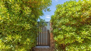 Un sendero conduce a una entrada con puerta, rodeada de abundante follaje verde.
