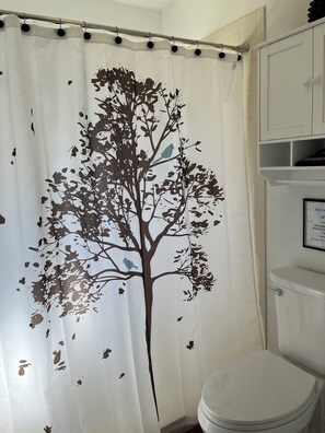 淋浴设施、吹风机、毛巾、肥皂