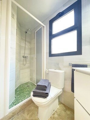 Shower, hair dryer, towels