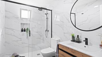 Shower, hair dryer, towels