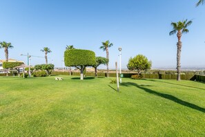 A well-maintained grassy area with neatly trimmed hedges, palm trees, and a clear sky.