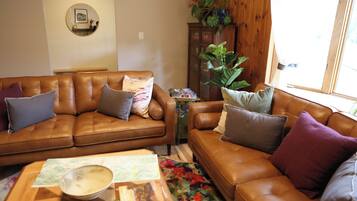 Smart TV, fireplace, books, computer monitors