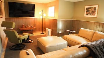 Smart TV, fireplace, books, computer monitors