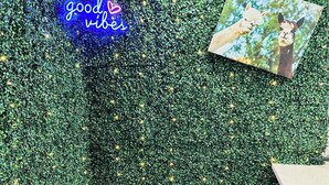 Een receptiezone met een groene wand van begroeiing, een neonbord met de tekst 'good vibes' en een ingelijst foto van llamas.