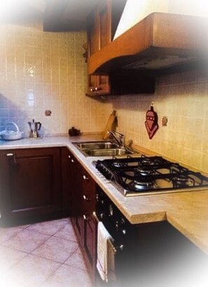 Fridge, microwave, oven, stovetop - Holiday Home 'Perruchon' with Mountain View, Shared Terrace and Shared Garden (Perloz)