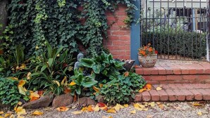 A garden with a brick wall covered in ivy, a metal gate, and various plants. - Harvest Home (Avenel)
