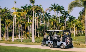 Une voiturette de golf sur un chemin, avec des palmiers en arrière-plan.
