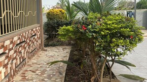 Une maison dotée d’un patio carrelé, d’une clôture décorative et d’un petit jardin où poussent diverses plantes, ainsi qu’un palmier.