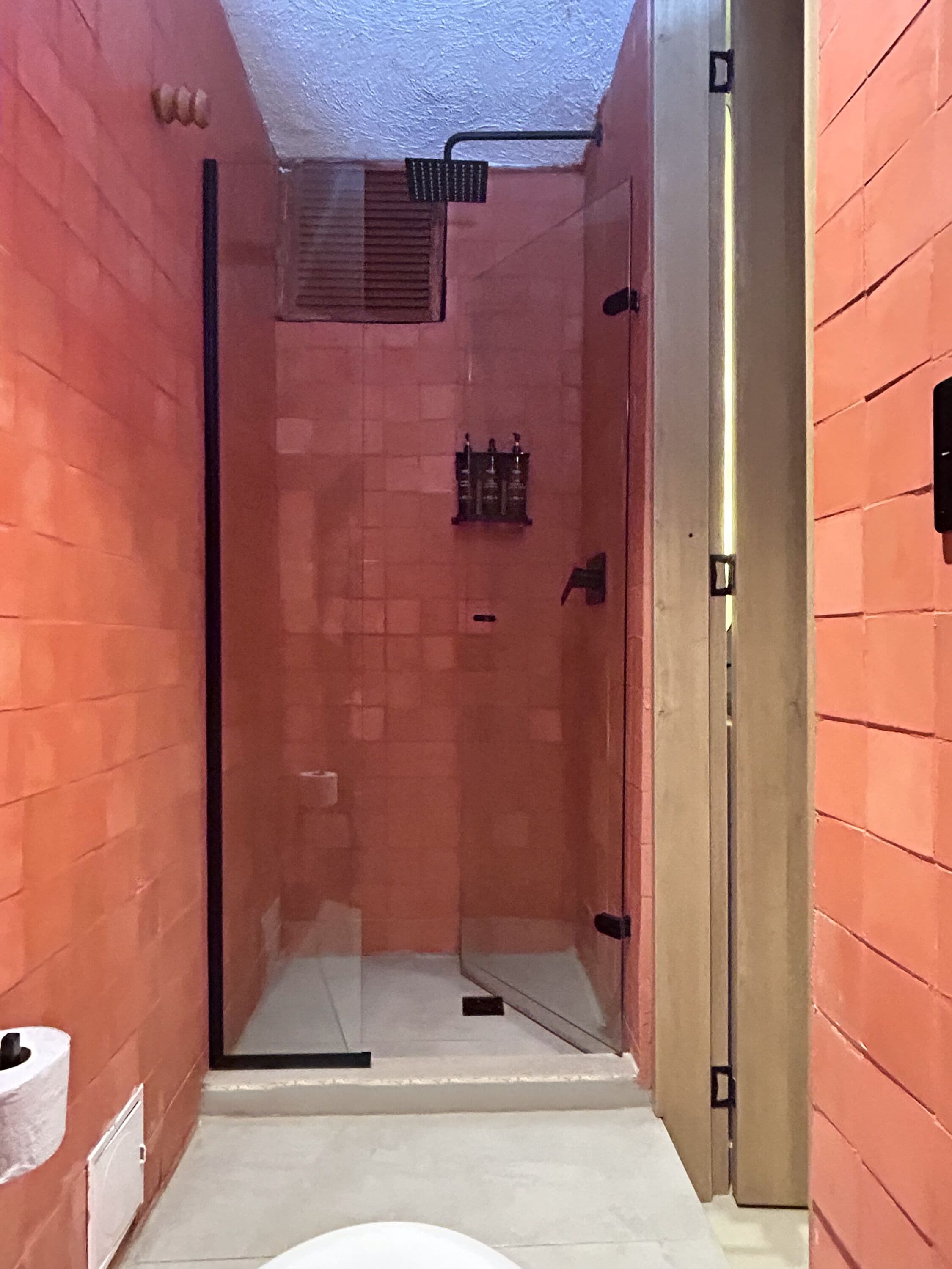 A narrow, enclosed shower area with a glass door, a towel rack, and a toilet paper holder on the wall.