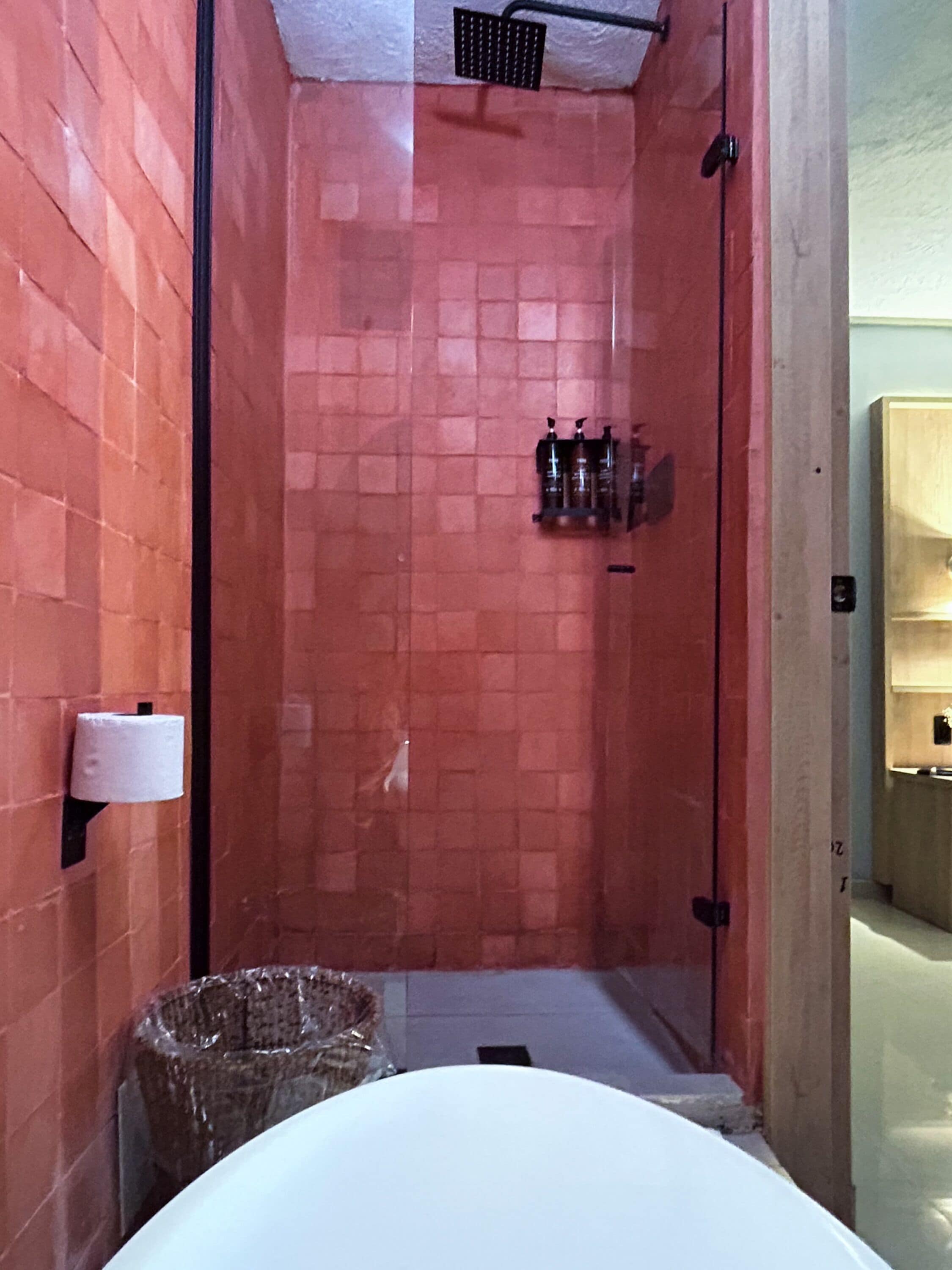 A small, enclosed shower area with a tiled wall, a white sink, and a trash bin.