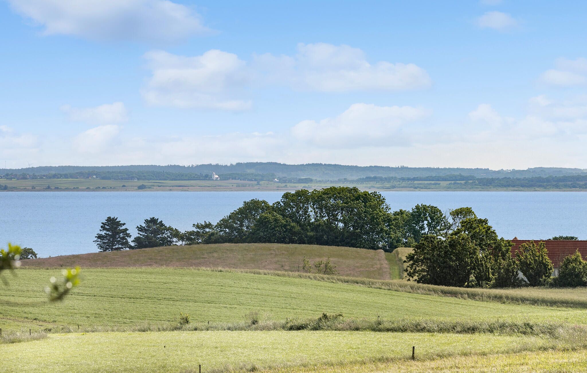 Un campo cubierto de hierba con un lago y árboles al fondo.