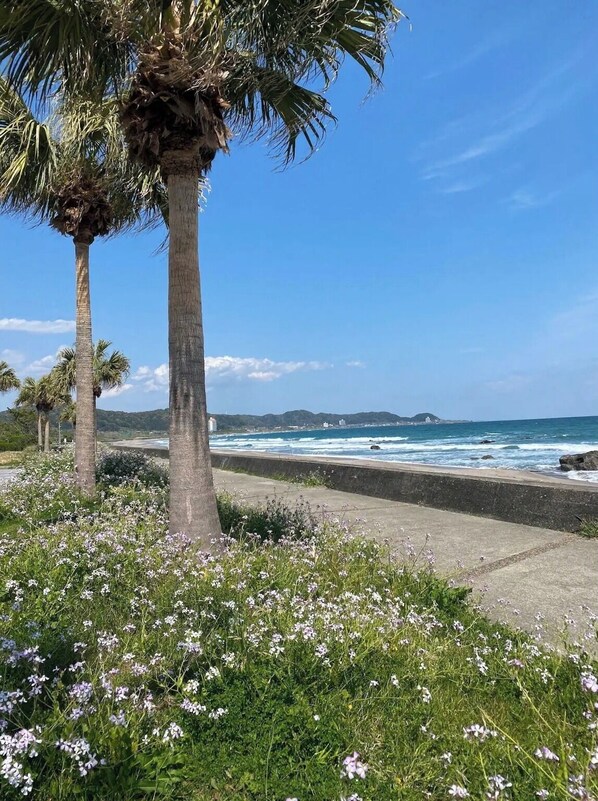 Plage