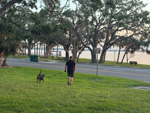 Property grounds