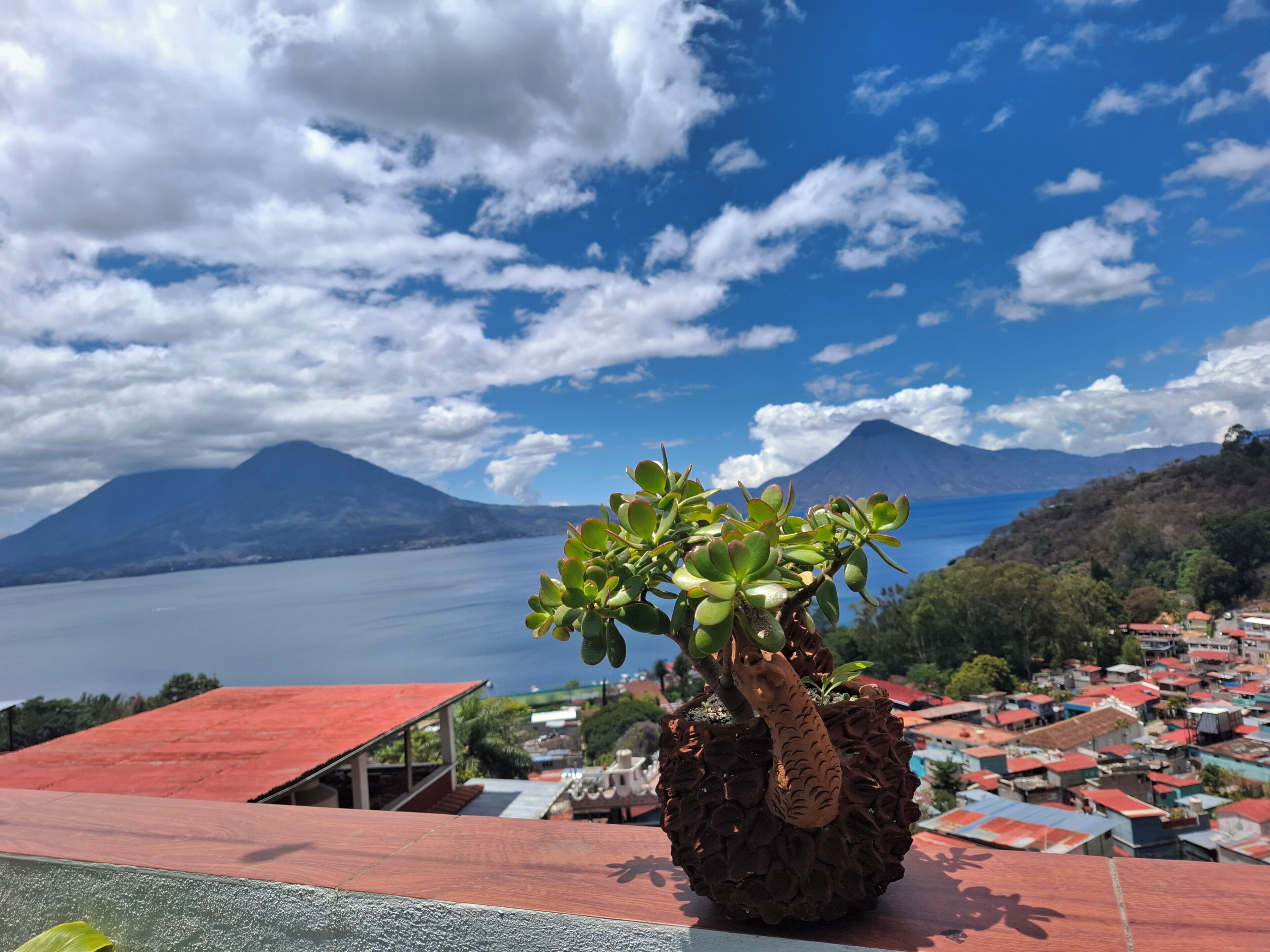 Una planta en maceta con diseño de serpiente, con vistas a un lago y montañas.